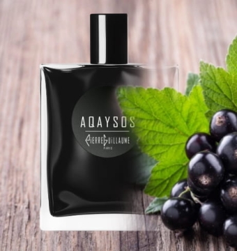 Pierre Guillaume Aqaysos - woda perfumowana