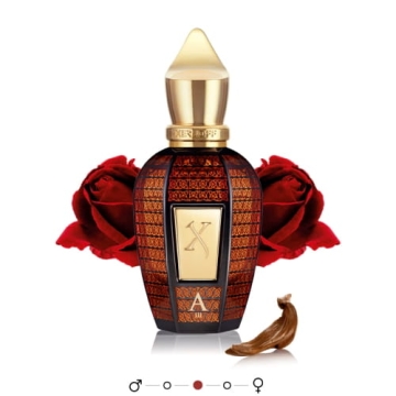 Xerjoff Oud Stars Alexandria III - czyste perfumy 50ml