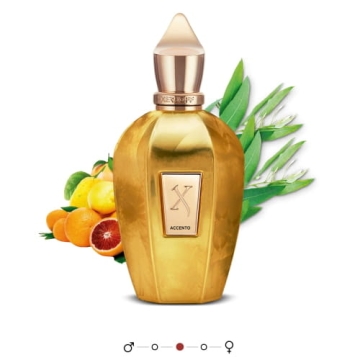 Xerjoff V Accento Overdose - woda perfumowana 100ml