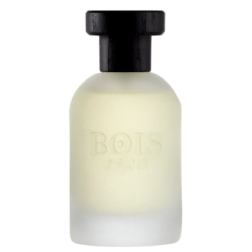 BOIS 1920 Vetiver Ambrato - woda toaletowa 100ml