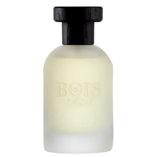 BOIS 1920 Vetiver Ambrato - woda toaletowa 100ml