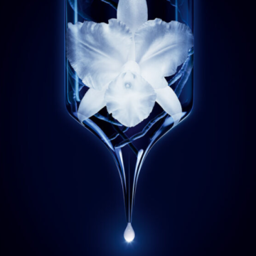 Guerlain Orchidée Impériale Emulsion - Ekskluzywna emulsja przeciwzmarszczkowa do twarzy