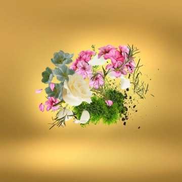 Xerjoff Casamorati CasaFutura - woda perfumowana