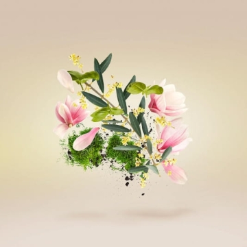 Xerjoff Casamorati Fiore d'Ulivo – Woda perfumowana