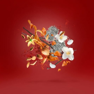 Xerjoff Casamorati Italica - Woda perfumowana