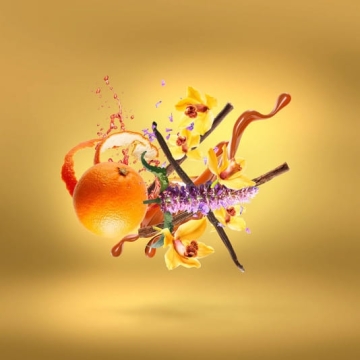 Xerjoff Casamorati Lira – Woda perfumowana
