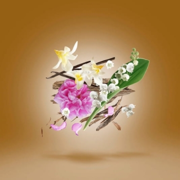 Xerjoff Oud Stars Alexandria III - czyste perfumy 50ml