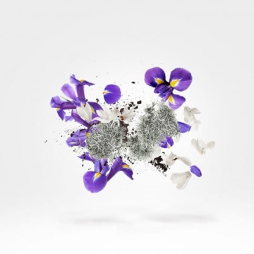 Xerjoff Shooting Stars Apollonia - czyste perfumy 50ml