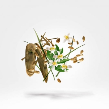 Xerjoff Shooting Stars Nio - perfumy 50 ml