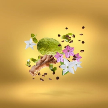 Xerjoff Shooting Stars Uden Overdose - perfumy 50ml