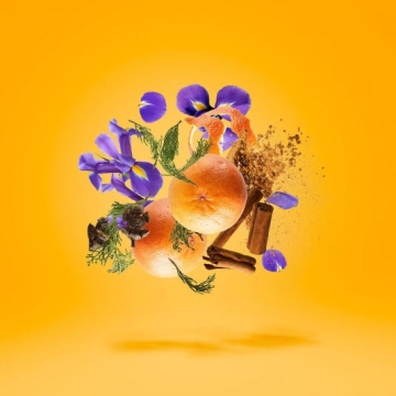 XERJOFF Sketchbook p. 33 - woda perfumowana 100ml