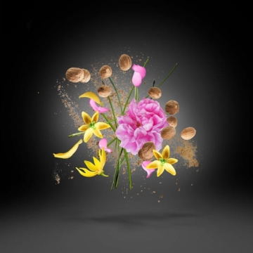 Xerjoff V Opera - woda perfumowana