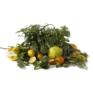 Christian Tortu Jardin Citrus Potpourri - Pachnące, suszone kwiaty, drzewa i owoce Cytrusowy Ogród 150g