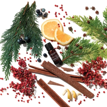 Aromatherapy Associates Forest Therapy Pure Essential Oil - olejek do inhalacji i dyfuzora / kominka o zapachu leśnym 10ml