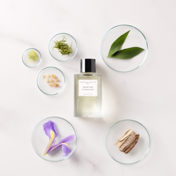 Essential Parfums Velvet Iris by Dominique Ropion - woda perfumowana