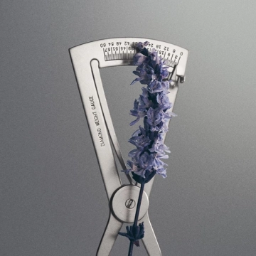 Creed Iris Debonair - woda perfumowana