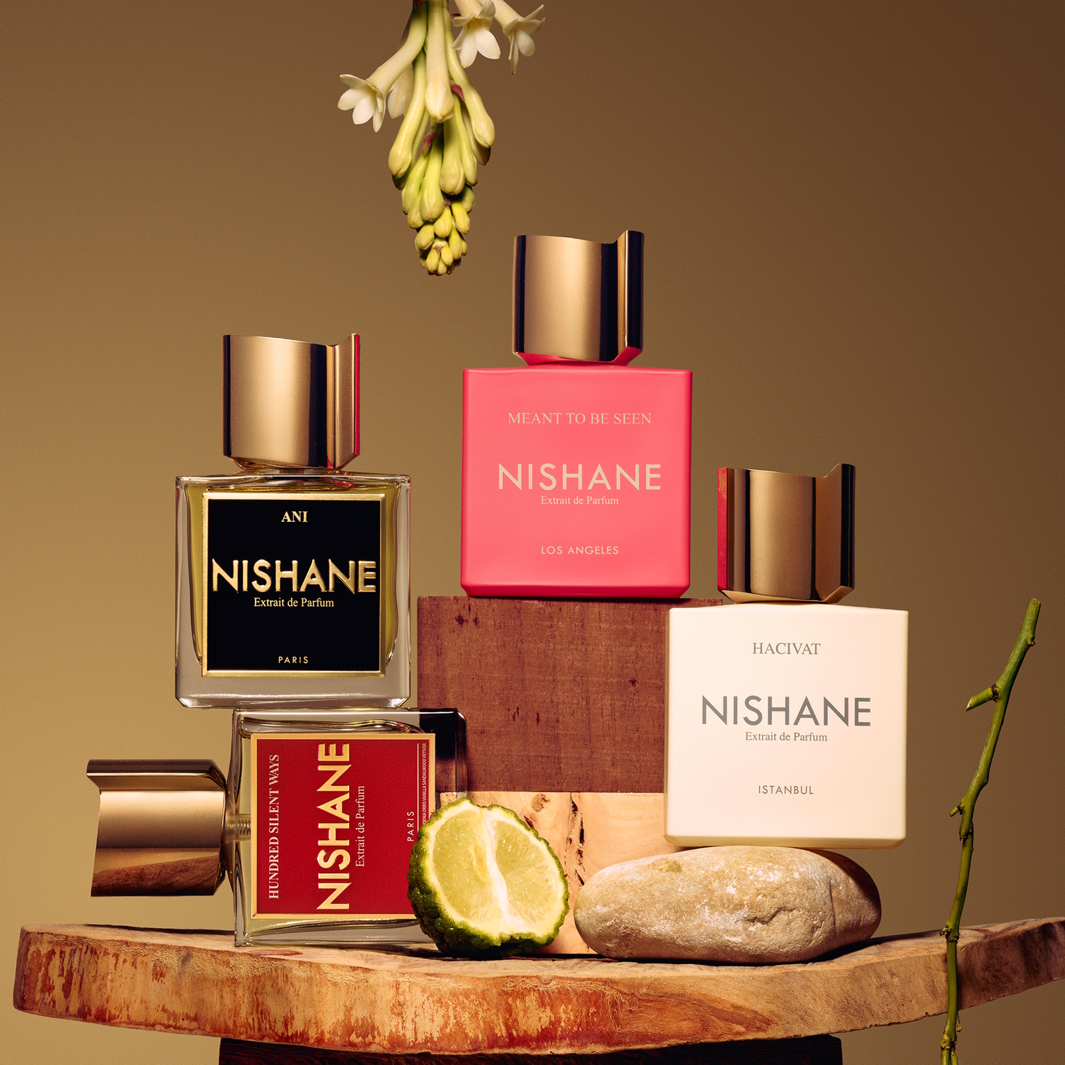 Oferta Nishane