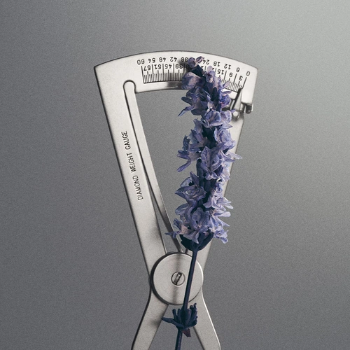 Creed Iris Debonair – niszowe perfumy unisex o lawendowym, irysowym, zielonym, przyprawowym i drzewnym charakterze.