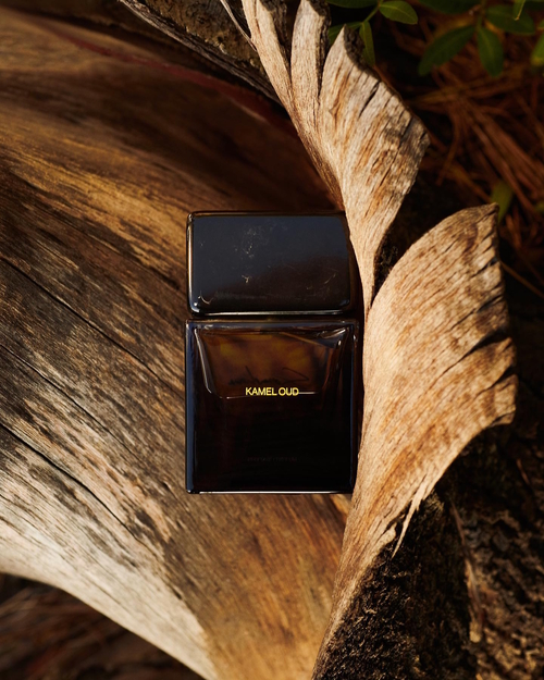 Ciemny, elegancki flakon perfum Sora Dora Kamel Oud z prostym złotym napisem, sfotografowany w naturalnym otoczeniu – leży w zagłębieniu suchego, zakręconego fragmentu drzewa, otoczony korą i liśćmi. Kompozycja zdjęcia podkreśla luksusowy, orientalny charakter zapachu i jego bliskie powiązanie z naturą.