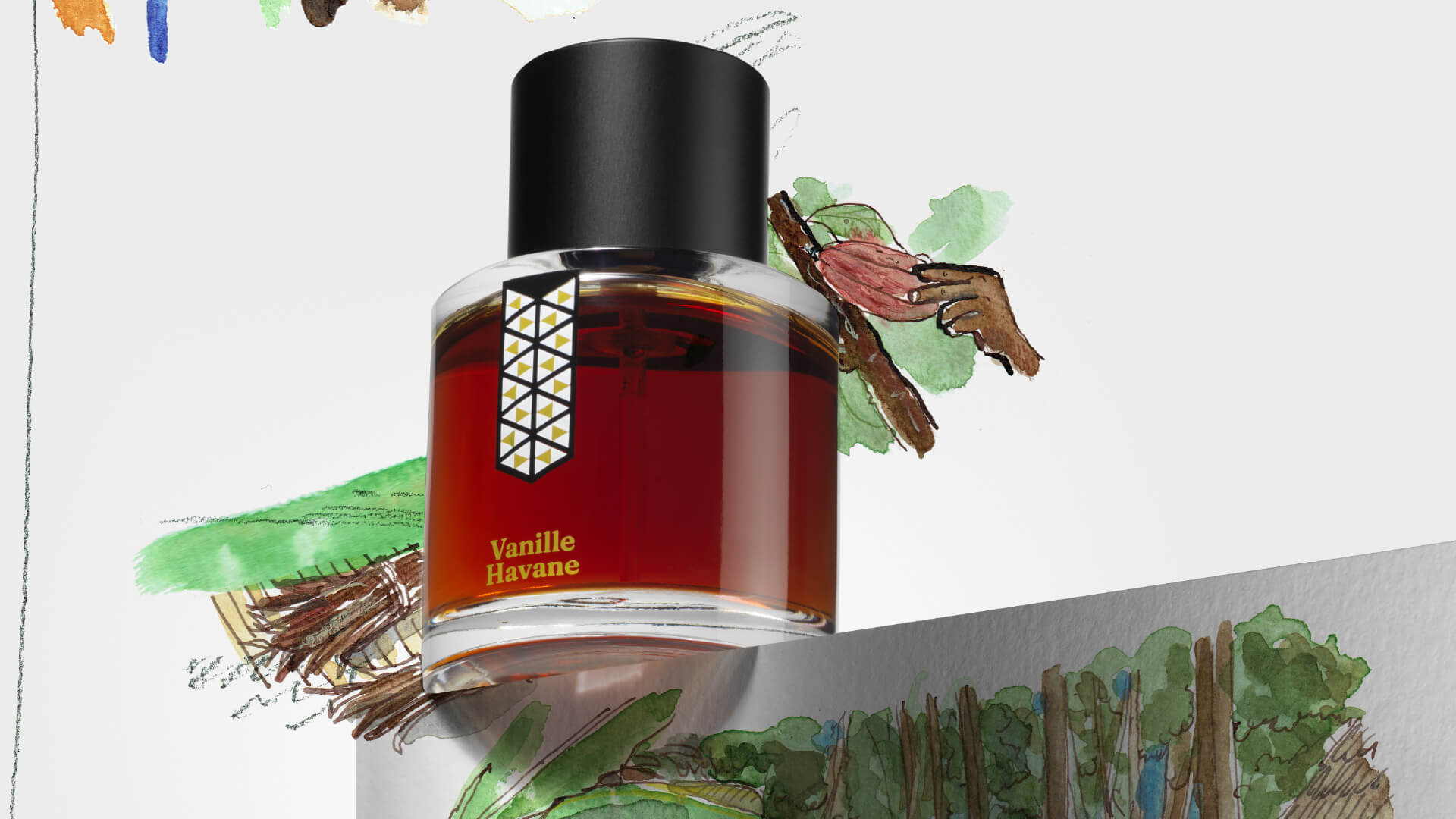 Les Indémodables Vanille Havane – ambrowo-drzewne i skórzane perfumy z wanilią z Komorów Grand Cru, kolumbijskim kakao, rumem, suszonymi owocami, tytoniem, jaśminem, skórą i drewnem.