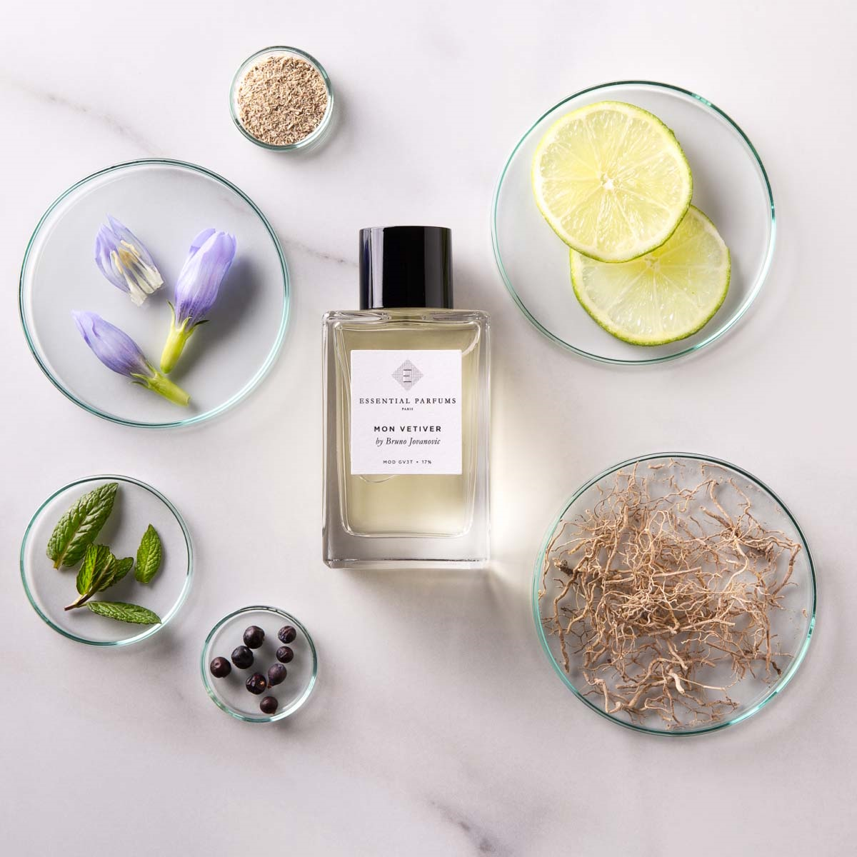 Mon Vetiver