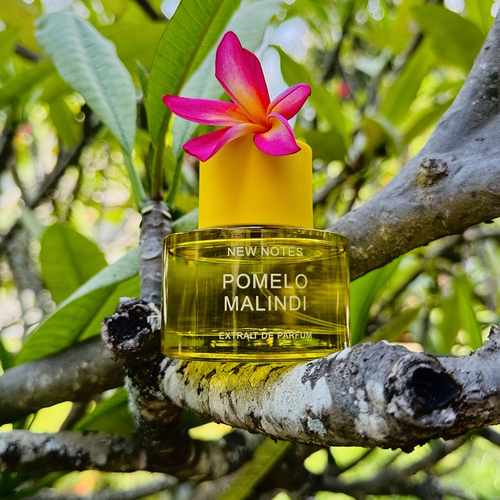 New Notes Pomelo Malindi – flakon perfum podkreślający świeży, cytrusowo-aromatyczny charakter kompozycji inspirowanej egzotycznym wybrzeżem Malindi.