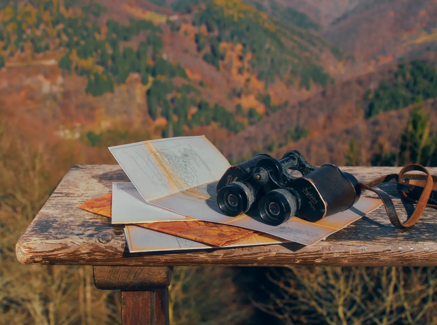 Widok natury – światło przebijające przez drzewa i wijąca się droga jako symbol perspektywy i ruchu.