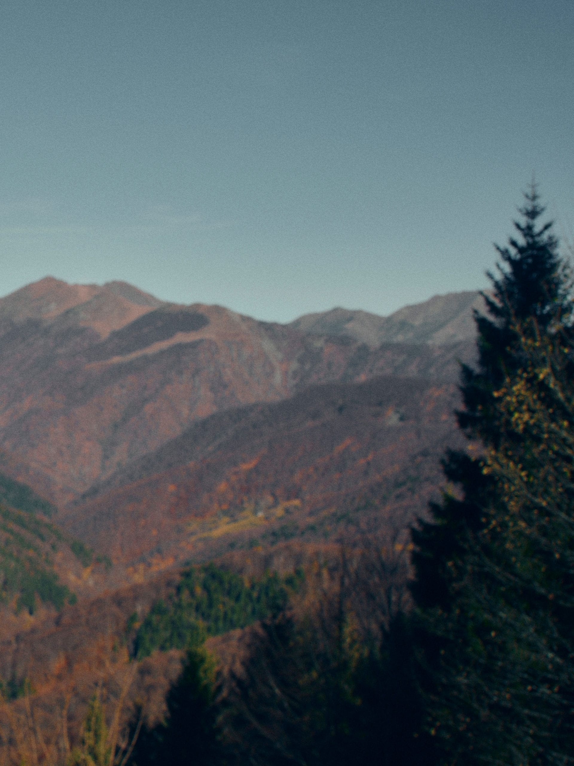 Inspiracja zapachu Zegna La Panoramica – panoramiczna droga wśród gór i lasów Oasi Zegna.